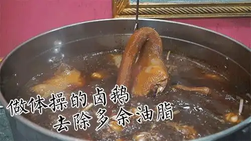 终于等到狮头鹅杀进市中心,就藏在国贸cbd6.8折就能看清ta的真面目