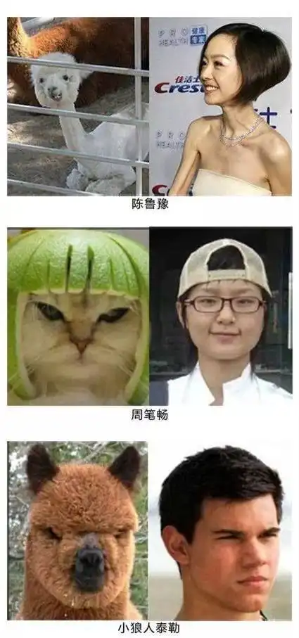 不许笑,可实在忍不住了哈哈哈哈