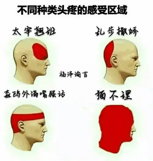 文豪野犬vs表情包3