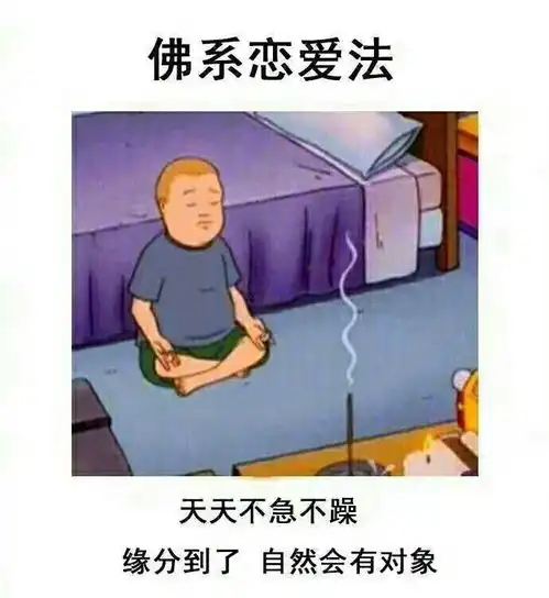 我的收藏夹