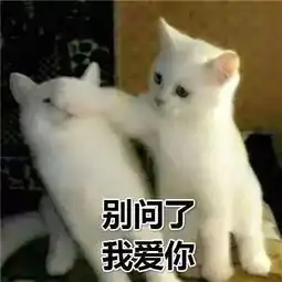 小编有话跟你说......