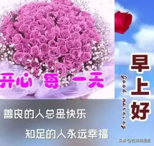 周三早晨问候朋友暖心的经典祝福语句,很美的早上祝福图片表情