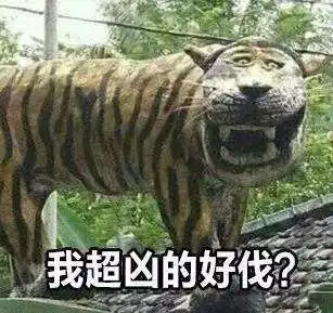 关注秋老虎界首热成全省第三