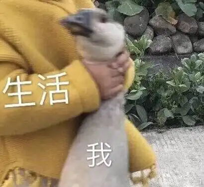 美国留学名校又涨学费,看看毕业几年才能赚回来