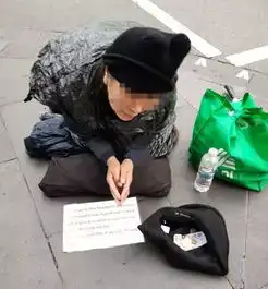 扮乞丐骗钱的华人,引外交部怒批请不要做那个只会给祖国抹黑的人
