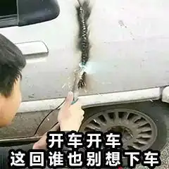 抖音里搞笑的表情包图片这次的事情就拜托了