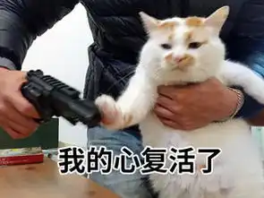 热点别考任输考研预报名系统的验证码实力劝退考生