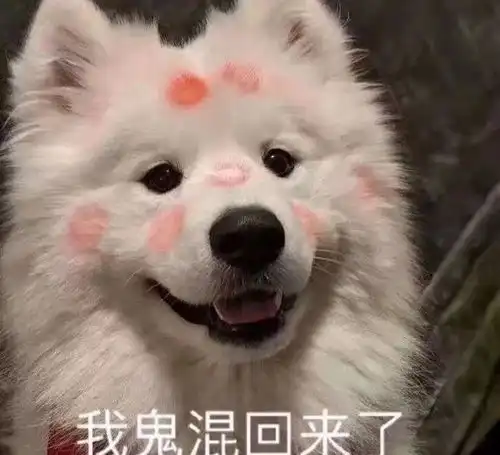 最新可爱表情包心动的感觉,我还是个孩子
