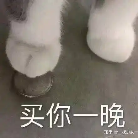 你们撩对象都用什么表情包啊