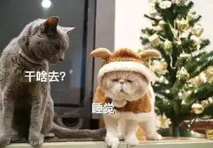 女朋友送我的这句话,是什么意思啊