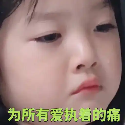 被其他中介盖章申不上的学校,idp都帮我申上了