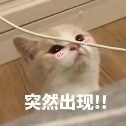 对美国老司机说我要去看自由女神像,他居然把我带到了红灯区