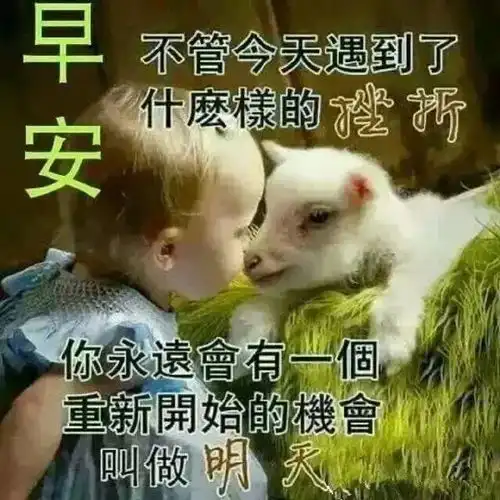 好闺蜜说我表情包太土,要和我说再见,真的很土吗