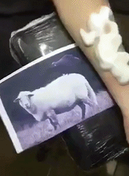 搞笑gif大哥今天的心情一定不错,走起路来都不一般了