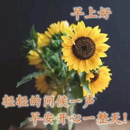 周五群发大家早上好最新唯美表情包,好看的早上好祝福语图片带字
