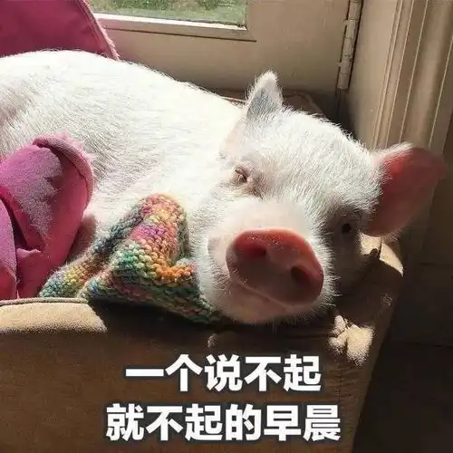 放假在家的全部意义,哈哈哈哈