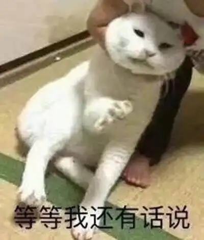 测试一个超长简介的文章