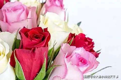 2月除了春节还有哪些节日还有一个节日每四年才会出现一次你绝对不知道