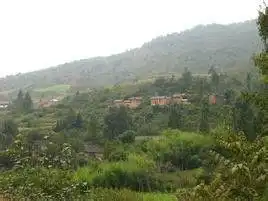 鲁纳寺村
