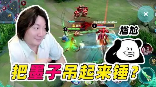 王者荣耀张大仙让你看看墨子是怎么被吊起来锤的