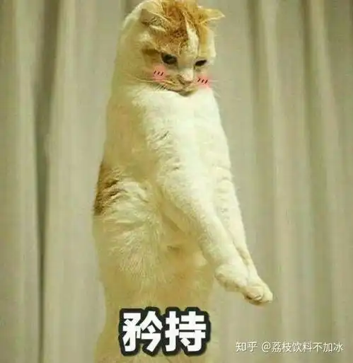 猫猫只是路过表情包猫咪
