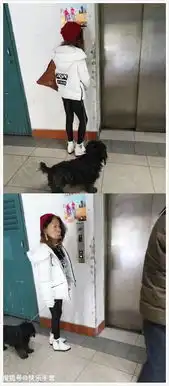趣味搞笑图片,老外不认识字,点菜时候直接露出腰部要这些就可以了