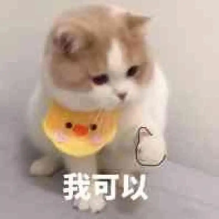 有表情包的微信群吗