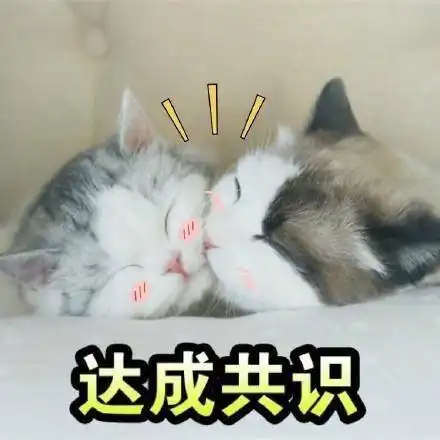 一组猫咪斗图表情包一起吸猫
