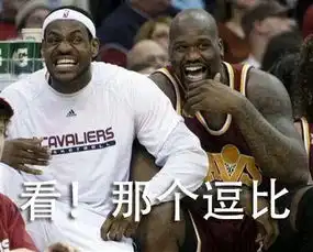 骑士夺冠表情包詹姆斯表情包来袭