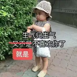 生气表情包可爱小女孩版哼,我生气了,哄不好的那种