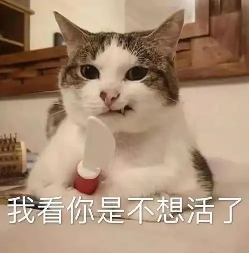 表情包能不能解救一下无聊的我