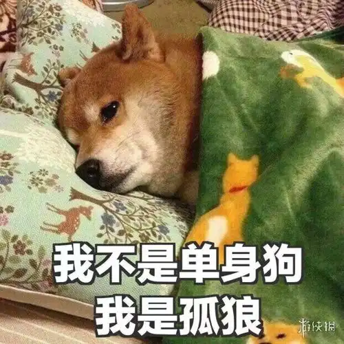 情人节单身文案大全2022情人节单身狗朋友圈文案