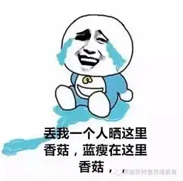 蓝瘦香菇,北上广不相信眼泪,没学历我在深圳有点