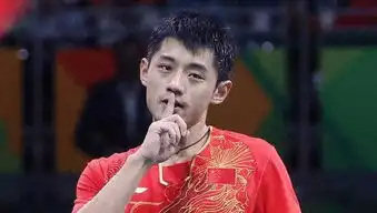 五大卫视2018跨年晚会明星阵容确定