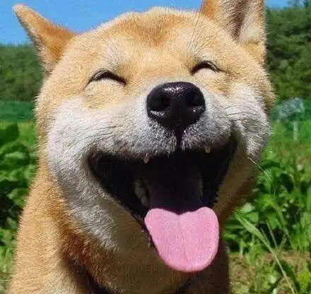 测试一个超长简介的文章