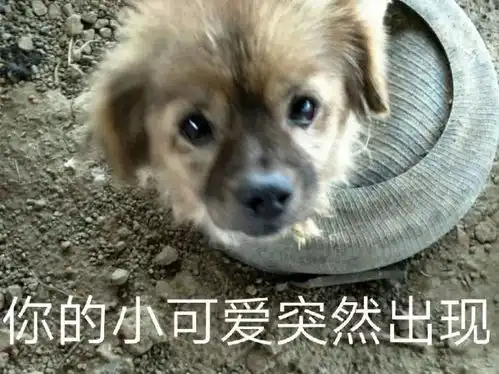 社团大揭秘只有你想不到