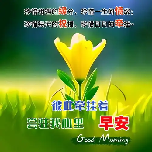 30张最新版早上好表情图片大全,幸福快乐,真情牵挂,珍惜永久早安思念大海钟声网易订阅