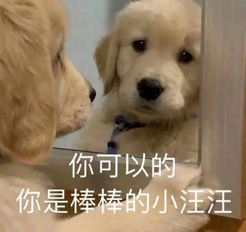 现在dai上荣耀什么价会有人接