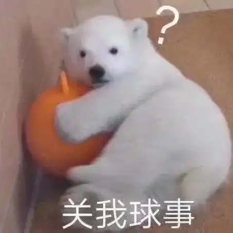 七夕搞笑表情包青蛙孤寡单身狗出租一套