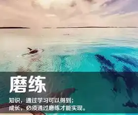 活着,在于折腾