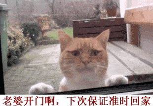 据说男人们婚后都是这样的....卧槽,简直生动形象哈哈哈哈