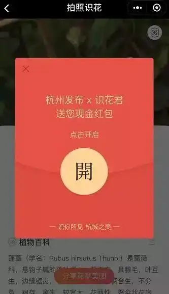 带上这件出行神器走长假一起玩转西湖