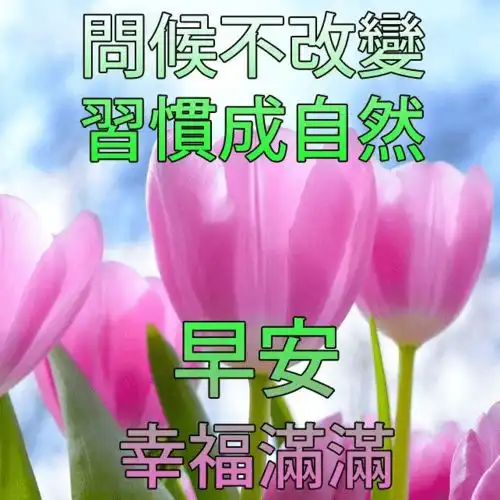 2020早上好问候语动态图片大全,早晨祝福唯美动画表情图