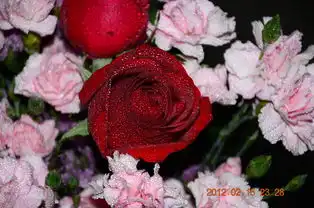 情人节送给老婆一束花原片直出