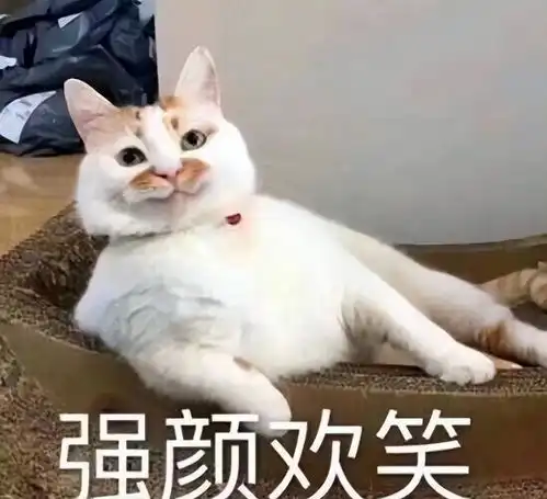 赵丽颖大女主新剧开机,要演娘化真汉子网友担心尺度大被删减