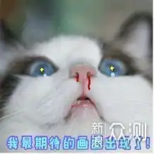 意大利原装进口daogrsw1洗碗机究竟有多牛