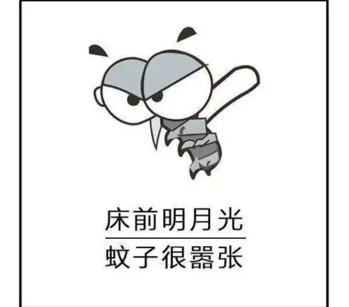 夏天,和蚊子不得不说的事