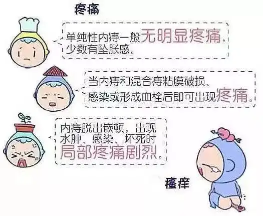 得了痔疮怎麽办