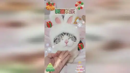 祝大家剩蛋快乐