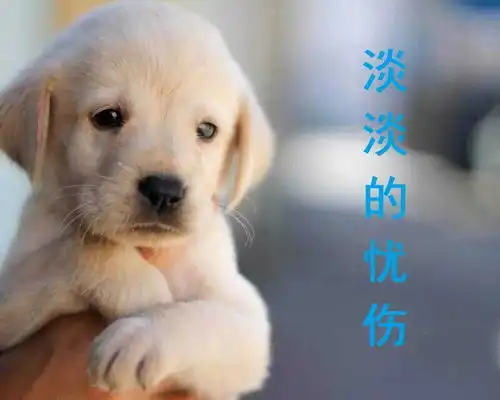 腾讯新闻